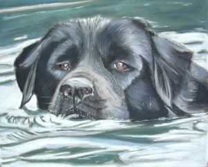 "Jack" Swimming